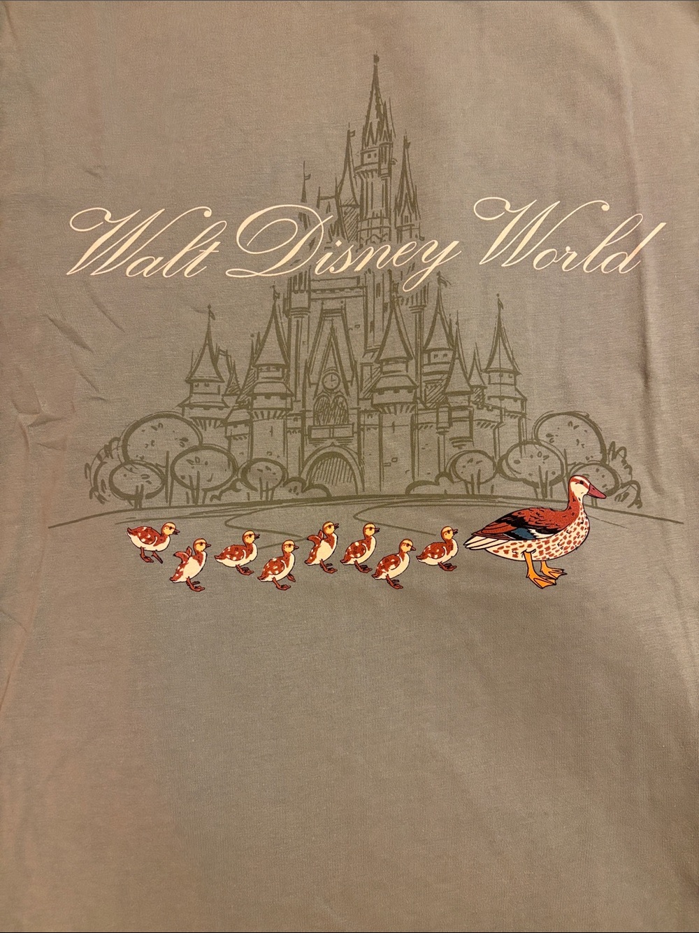 Disney Walt Disney World Duck Family Short Sleeve Tee - Gray, Orange, White